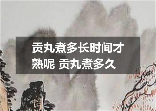 贡丸煮多长时间才熟呢 贡丸煮多久