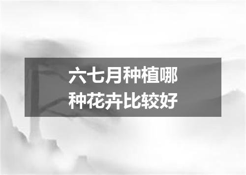 六七月种植哪种花卉比较好