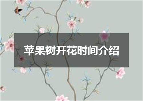 苹果树开花时间介绍
