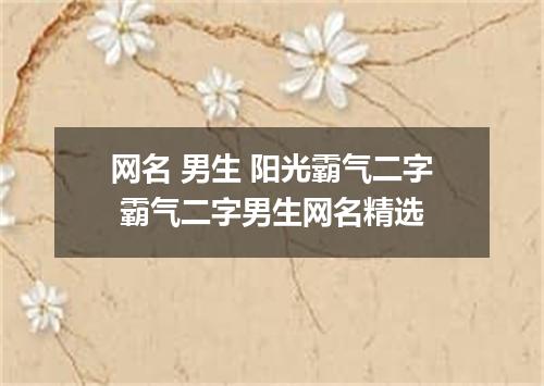 网名 男生 阳光霸气二字 霸气二字男生网名精选