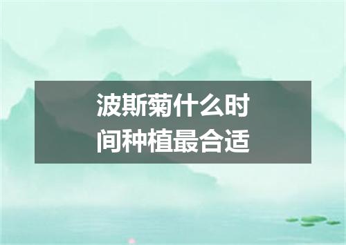 波斯菊什么时间种植最合适