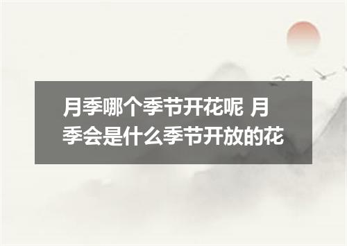 月季哪个季节开花呢 月季会是什么季节开放的花