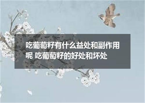 吃葡萄籽有什么益处和副作用呢 吃葡萄籽的好处和坏处