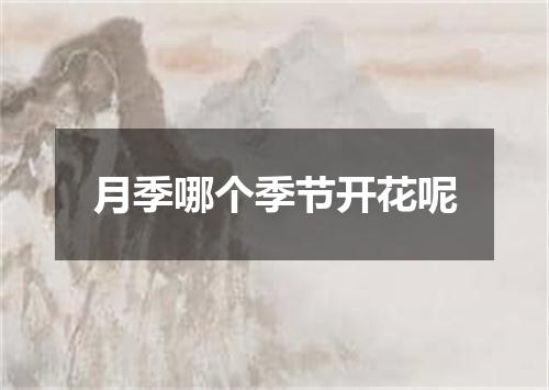 月季哪个季节开花呢