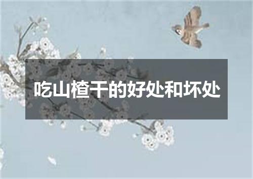 吃山楂干的好处和坏处