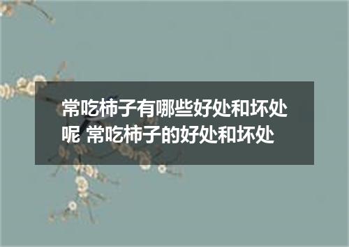 常吃柿子有哪些好处和坏处呢 常吃柿子的好处和坏处