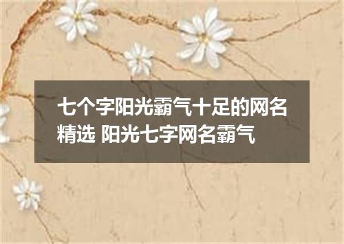 七个字阳光霸气十足的网名精选 阳光七字网名霸气