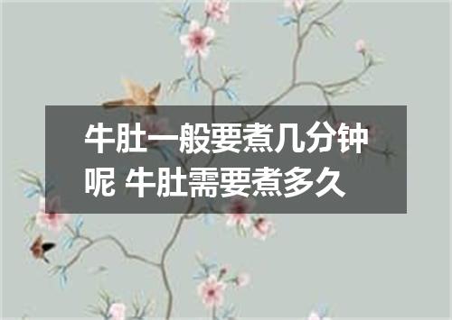 牛肚一般要煮几分钟呢 牛肚需要煮多久