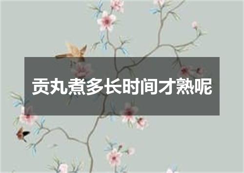 贡丸煮多长时间才熟呢