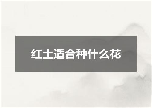红土适合种什么花
