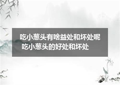 吃小葱头有啥益处和坏处呢 吃小葱头的好处和坏处