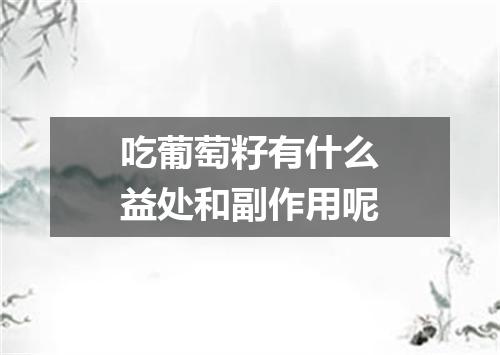 吃葡萄籽有什么益处和副作用呢