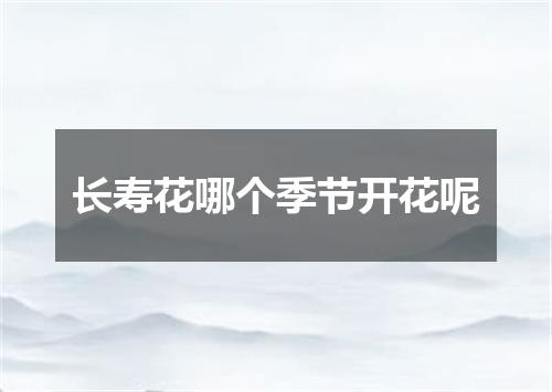 长寿花哪个季节开花呢