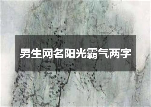 男生网名阳光霸气两字