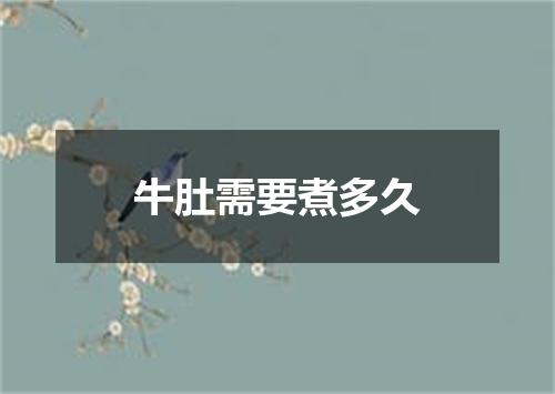 牛肚需要煮多久