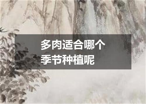 多肉适合哪个季节种植呢