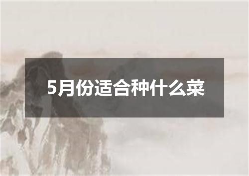 5月份适合种什么菜