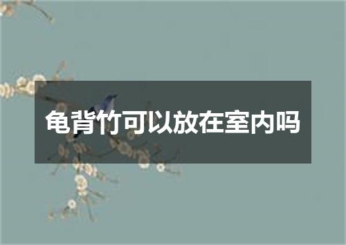 龟背竹可以放在室内吗