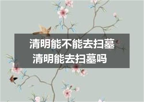 清明能不能去扫墓 清明能去扫墓吗