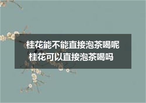 桂花能不能直接泡茶喝呢 桂花可以直接泡茶喝吗