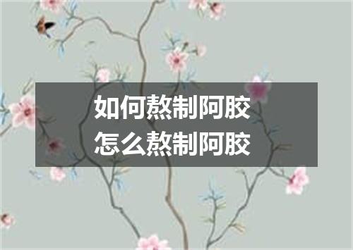 如何熬制阿胶 怎么熬制阿胶