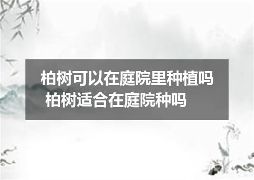 柏树可以在庭院里种植吗 柏树适合在庭院种吗