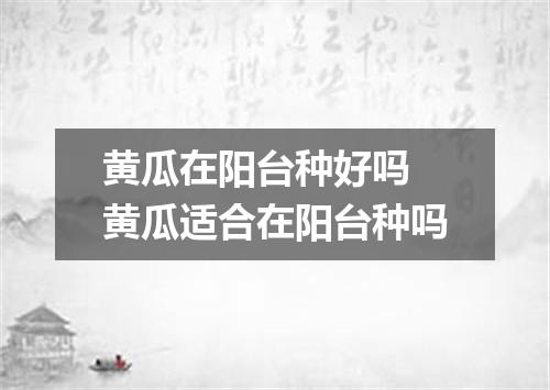 黄瓜在阳台种好吗 黄瓜适合在阳台种吗