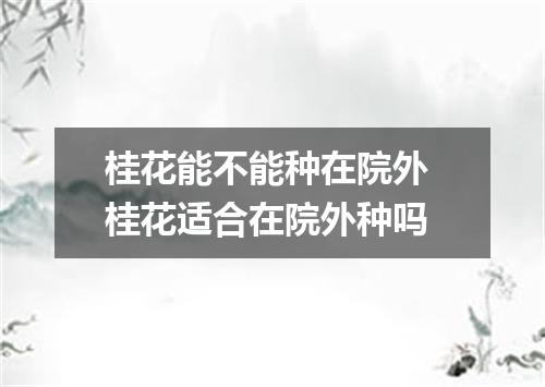 桂花能不能种在院外 桂花适合在院外种吗