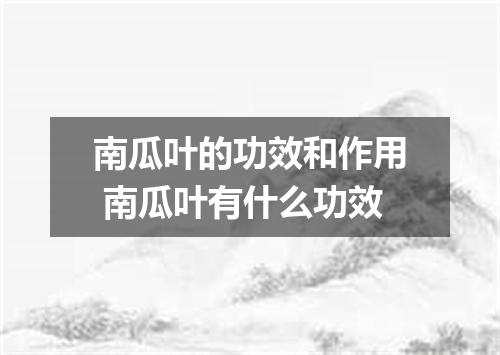 南瓜叶的功效和作用 南瓜叶有什么功效
