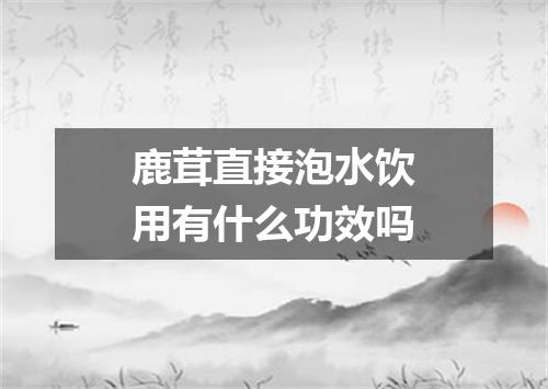 鹿茸直接泡水饮用有什么功效吗