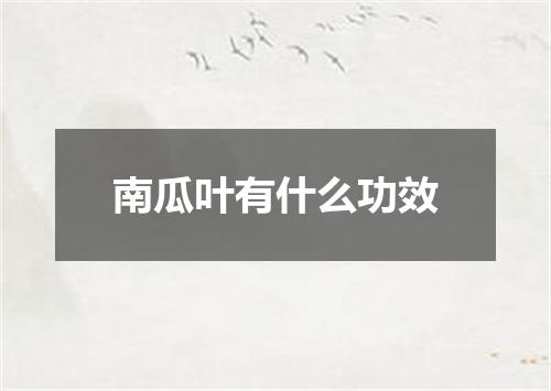 南瓜叶有什么功效