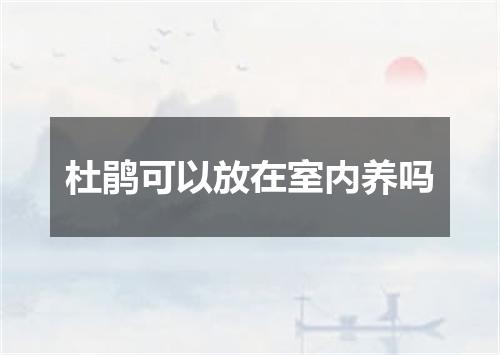 杜鹃可以放在室内养吗