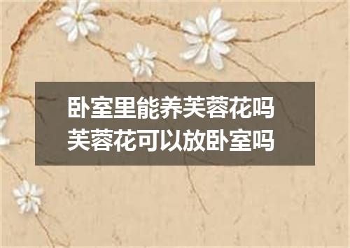 卧室里能养芙蓉花吗 芙蓉花可以放卧室吗