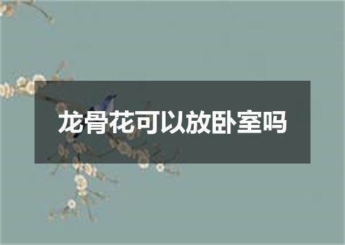 龙骨花可以放卧室吗