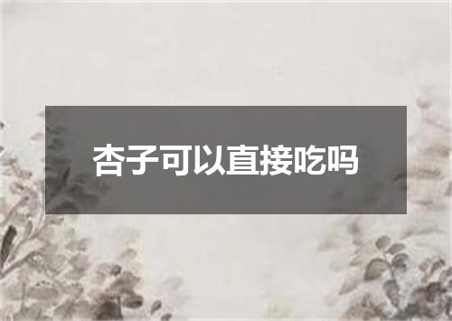 杏子可以直接吃吗