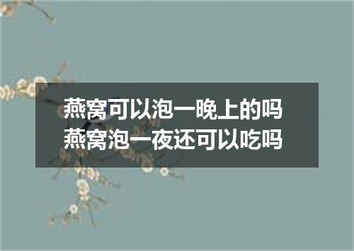燕窝可以泡一晚上的吗 燕窝泡一夜还可以吃吗