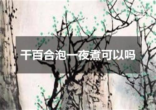 干百合泡一夜煮可以吗