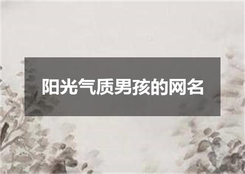 阳光气质男孩的网名