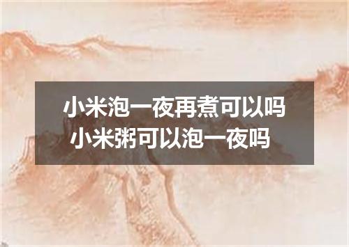 小米泡一夜再煮可以吗 小米粥可以泡一夜吗