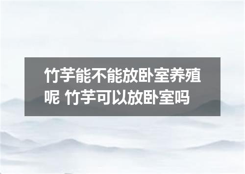竹芋能不能放卧室养殖呢 竹芋可以放卧室吗