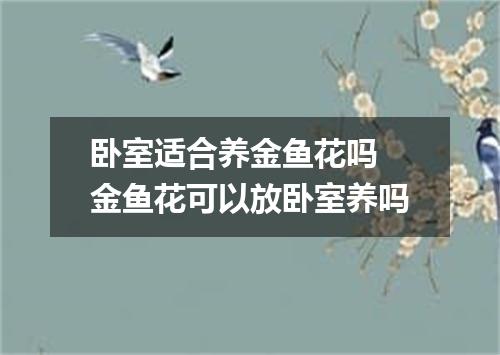 卧室适合养金鱼花吗 金鱼花可以放卧室养吗