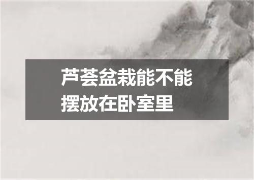 芦荟盆栽能不能摆放在卧室里