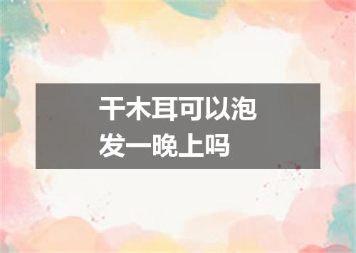 干木耳可以泡发一晚上吗