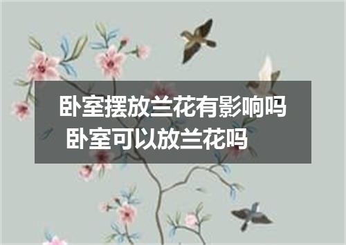 卧室摆放兰花有影响吗 卧室可以放兰花吗