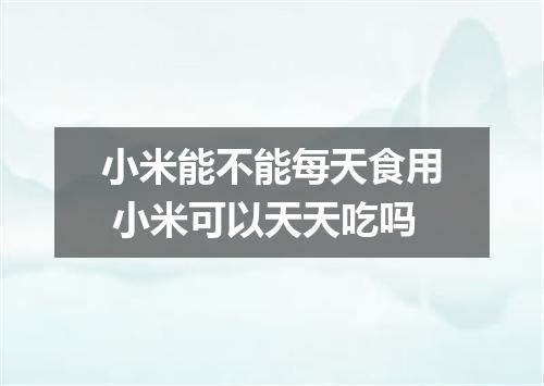 小米能不能每天食用 小米可以天天吃吗