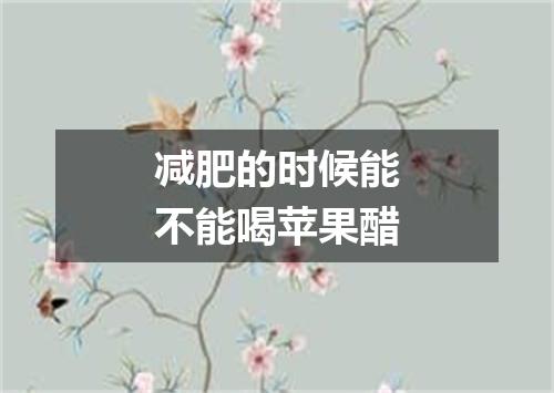 减肥的时候能不能喝苹果醋