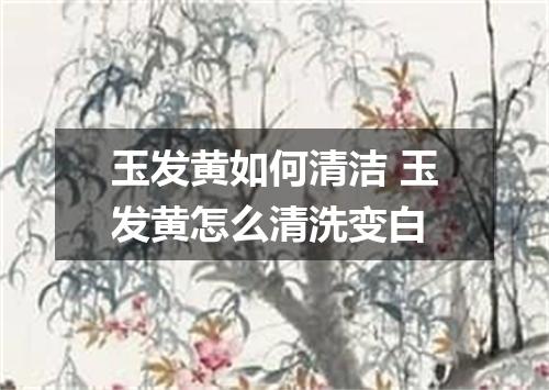 玉发黄如何清洁 玉发黄怎么清洗变白