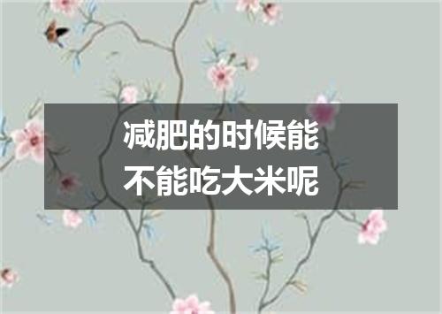 减肥的时候能不能吃大米呢