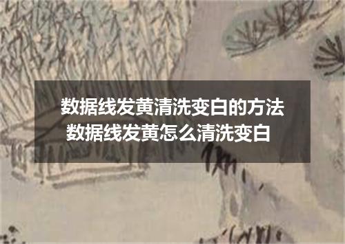 数据线发黄清洗变白的方法 数据线发黄怎么清洗变白
