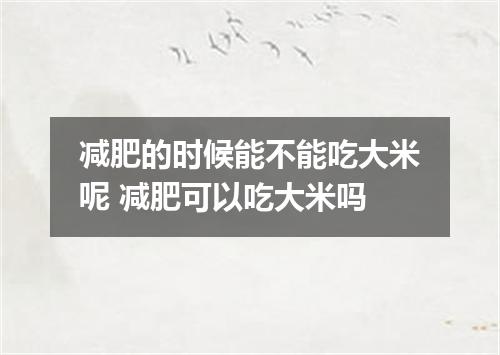 减肥的时候能不能吃大米呢 减肥可以吃大米吗